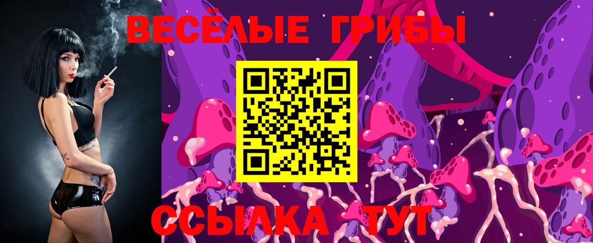 Псилоцибиновые грибы Psilocybe Краснознаменск