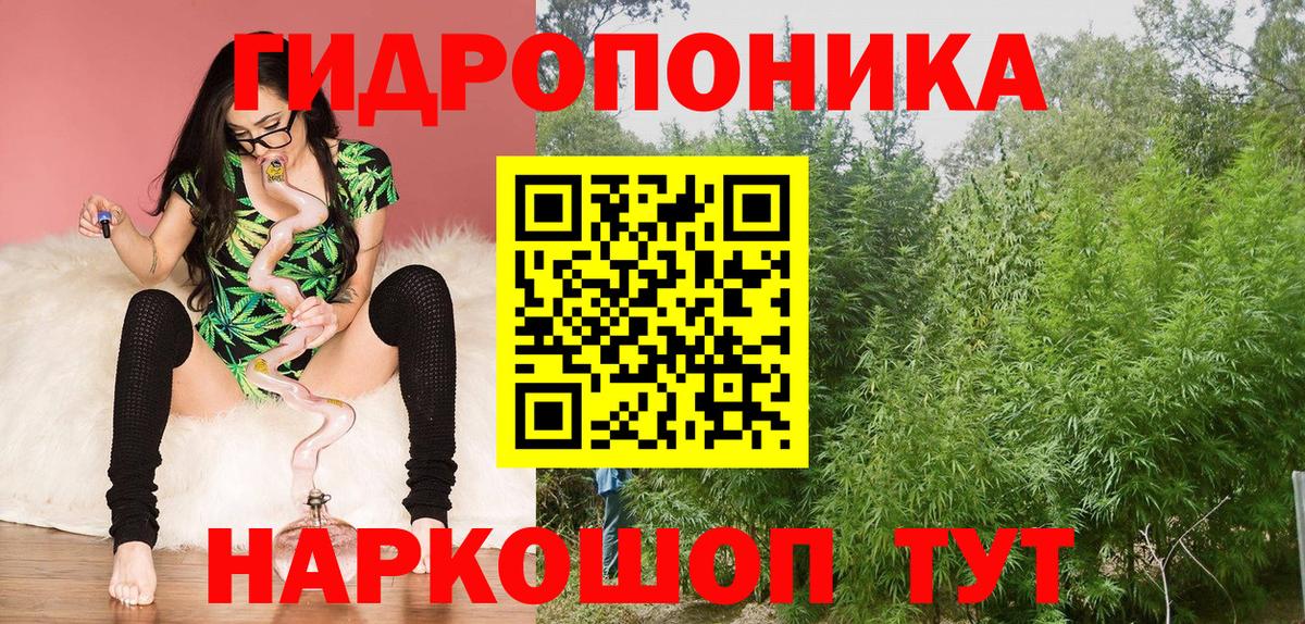 Краснознаменск  Марихуана семена  Марихуана MAZAR  Каннабис гибрид  Вход с VPN 